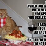 UNSATISFIED CAT | SLAVE, I ASKED FOR LASAGNA WITH MEATBALLS NOT SPAGHETTI YOU USELESS IDIOT! I ALSO ASKED FOR CAT NIP EXTRACT IN MAH WINE & IT ISN'T THERE BECAUSE I'M NOT STONED! | image tagged in unsatisfied cat | made w/ Imgflip meme maker