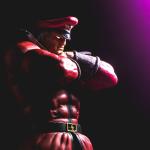 M. Bison singing shallow