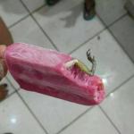 Frog leg in cream bar