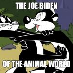 Pepe Le Pew | THE JOE BIDEN; OF THE ANIMAL WORLD | image tagged in pepe le pew | made w/ Imgflip meme maker