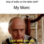 This happened to me Once | Me: *spills the smallest drop of water on the table cloth*; My Mom: | image tagged in look what you did you little jerk,relatable | made w/ Imgflip meme maker