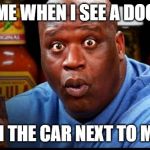 Shaq Eats Wings | ME WHEN I SEE A DOG; IN THE CAR NEXT TO ME | image tagged in shaq eats wings | made w/ Imgflip meme maker