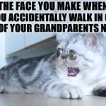 THE FACE YOU MAKE | THE FACE YOU MAKE WHEN; YOU ACCIDENTALLY WALK IN ON ONE OF YOUR GRANDPARENTS NAKED | image tagged in the face you make | made w/ Imgflip meme maker