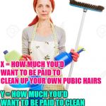 Cleaning Lady Wages | HOW TO CALCULATE HOURLY WAGE FOR A CLEANING LADY:; X = HOW MUCH YOU'D WANT TO BE PAID TO CLEAN UP YOUR OWN PUBIC HAIRS; Y = HOW MUCH YOU'D WANT TO BE PAID TO CLEAN UP SOMEONE ELSE'S PUBIC HAIRS; X + Y = HOURLY WAGE | image tagged in cleaning,jobs,how to,maid,funny memes,reality check | made w/ Imgflip meme maker