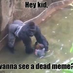 A dank meme 4 u - inspired by everone123. | Hey kid, wanna see a dead meme? | image tagged in harambe,memes,dead,dead memes | made w/ Imgflip meme maker