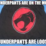 Thunder - thunder - thunder - thunder PANTS! | THUNDERPANTS ARE ON THE MOVE! THUNDERPANTS ARE LOOSE! | image tagged in thunderpants,underpants,thundercats,theme song | made w/ Imgflip meme maker