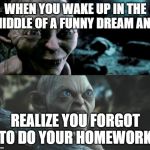 Gollum schizophrenia | WHEN YOU WAKE UP IN THE MIDDLE OF A FUNNY DREAM AND; REALIZE YOU FORGOT TO DO YOUR HOMEWORK | image tagged in gollum schizophrenia | made w/ Imgflip meme maker
