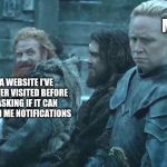 game of thrones brienne tormund | ME; A WEBSITE I'VE NEVER VISITED BEFORE ASKING IF IT CAN SEND ME NOTIFICATIONS | image tagged in game of thrones brienne tormund | made w/ Imgflip meme maker