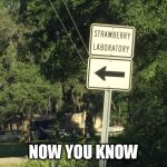 now you know | NOW YOU KNOW | image tagged in now you know | made w/ Imgflip meme maker