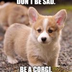 Happiness Corgi | DON'T BE SAD. BE A CORGI. | image tagged in happiness corgi | made w/ Imgflip meme maker