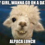 Alpaca | HEY GIRL..WANNA GO ON A DATE? ALPACA LUNCH | image tagged in alpaca,puns,animal,lunch,hey girl,funny | made w/ Imgflip meme maker