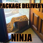 Package Delivery Ninja | PACKAGE DELIVERY; NINJA | image tagged in package delivery ninja | made w/ Imgflip meme maker