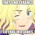 Hetalia France | THAT'S NOT FRANCE; THAT'S A FROG IN A LADIES' WIG | image tagged in hetalia france | made w/ Imgflip meme maker