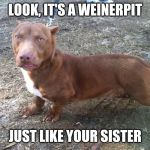 Weiner Pit | LOOK, IT'S A WEINERPIT; JUST LIKE YOUR SISTER | image tagged in weiner pit | made w/ Imgflip meme maker