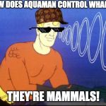 Aquaman | HOW DOES AQUAMAN CONTROL WHALES? THEY'RE MAMMALS! | image tagged in aquaman | made w/ Imgflip meme maker