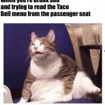 Confused fat cat | When you’re drunk and and trying to read the Taco Bell menu from the passenger seat | image tagged in confused fat cat | made w/ Imgflip meme maker