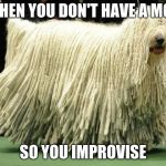 Mop Dog | WHEN YOU DON'T HAVE A MOP; SO YOU IMPROVISE | image tagged in mop dog | made w/ Imgflip meme maker
