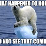 Polar bear climate change | WHAT HAPPENED TO HOME; DID NOT SEE THAT COMING | image tagged in polar bear climate change | made w/ Imgflip meme maker