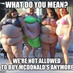 fat chicks | WHAT DO YOU MEAN? WE'RE NOT ALLOWED TO BUY MCDONALD'S ANYMORE | image tagged in fat chicks | made w/ Imgflip meme maker