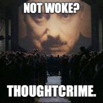 Big Brother 1984 | NOT WOKE? THOUGHTCRIME. | image tagged in big brother 1984,woke | made w/ Imgflip meme maker