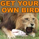 Back off | GET YOUR OWN BIRD | image tagged in lion eating turkey | made w/ Imgflip meme maker
