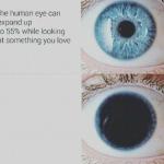 the pupil of your eye
