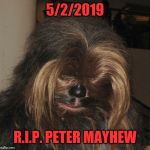 Sad Chewie | 5/2/2019; R.I.P. PETER MAYHEW | image tagged in sad chewie | made w/ Imgflip meme maker