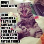 HOW I LOOK | I'M IN WALMART & A GUY IN THE SAME AISLE EMITS A HUGE FART & DOESN'T GIVE A CRAP WHAT ANYONE THINKS; HOW I LOOK WHEN | image tagged in how i look | made w/ Imgflip meme maker