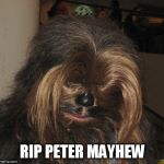 Sad Chewie | RIP PETER MAYHEW | image tagged in sad chewie | made w/ Imgflip meme maker