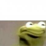 Kermit oh fuck