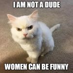 We can be funny sometimes | I AM NOT A DUDE; WOMEN CAN BE FUNNY | image tagged in hate cat,funny meme | made w/ Imgflip meme maker