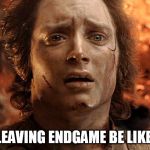 Frodo Its Over Its Done | LEAVING ENDGAME BE LIKE | image tagged in frodo its over its done | made w/ Imgflip meme maker