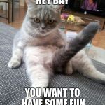 Sexy Cat | HEY BAY YOU WANT TO HAVE SOME FUN | image tagged in memes,sexy cat | made w/ Imgflip meme maker