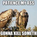 Vultures | PATIENCE MY ASS; I'M GONNA KILL SOMETHING | image tagged in vultures | made w/ Imgflip meme maker