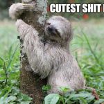 Sloth Taking a Dump | CUTEST SHIT EVER | image tagged in sloth taking a dump,cute,sloth,sloths,tree hugger,animals | made w/ Imgflip meme maker