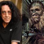 Peter Mayhew / Chewie