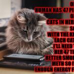 STAB WOUNDS | OK SO MY HUMAN HAS 47 PICTURES OF OTHER CATS IN HER PHONE! SO 1 STAB WITH THE KNIFE FOR EACH CAT MEANS I'LL NEED TO STAB HER 47 TIMES. I'D BETTER SMOKE SOME METH SO I'LL HAVE ENOUGH ENERGY FOR THIS | image tagged in stab wounds | made w/ Imgflip meme maker