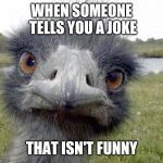 Happy Ostrich Week | WHEN SOMEONE TELLS YOU A JOKE; THAT ISN'T FUNNY | image tagged in cold stare of ostrich,ostrichweek | made w/ Imgflip meme maker