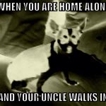Candy Ded | WHEN YOU ARE HOME ALONE; AND YOUR UNCLE WALKS IN | image tagged in candy ded | made w/ Imgflip meme maker