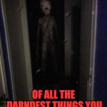 What hides in the closet | OF ALL THE DARNDEST THINGS YOU FIND IN YOUR ATTIC. | image tagged in what hides in the closet | made w/ Imgflip meme maker