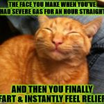 FACE YOU MAKE | THE FACE YOU MAKE WHEN YOU'VE HAD SEVERE GAS FOR AN HOUR STRAIGHT; AND THEN YOU FINALLY FART & INSTANTLY FEEL RELIEF! | image tagged in face you make | made w/ Imgflip meme maker