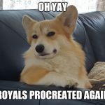 Brynlee is disappointed | OH YAY; ROYALS PROCREATED AGAIN | image tagged in brynlee is disappointed | made w/ Imgflip meme maker