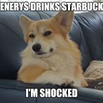 Brynlee disapproves | DAENERYS DRINKS STARBUCKS? I'M SHOCKED | image tagged in brynlee disapproves | made w/ Imgflip meme maker