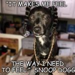 snoop dogg | “IT MAKES ME FEEL; THE WAY I NEED TO FEEL.”  SNOOP DOGG | image tagged in snoop dogg | made w/ Imgflip meme maker