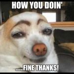 How you doin' | HOW YOU DOIN'; ......FINE THANKS! | image tagged in how you doin' | made w/ Imgflip meme maker