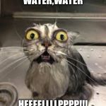 WOW | WATER,WATER; HEEEELLLLPPPP!!! | image tagged in wow | made w/ Imgflip meme maker