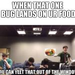 You can yeet that out of the window | WHEN THAT ONE BUG LANDS ON UR FOOD; YOU CAN YEET THAT OUT OF THE WINDOW | image tagged in you can yeet that out of the window | made w/ Imgflip meme maker