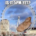 Giant Hamster Wheel | IS IT 5PM YET? | image tagged in giant hamster wheel | made w/ Imgflip meme maker