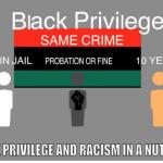 BLACK PRIVILEGE SAME CRIME MEME