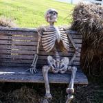 skeleton waiting in a bench